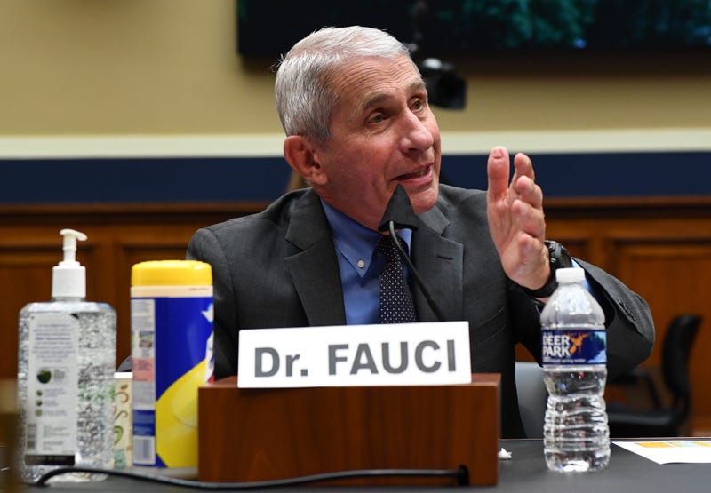 Dr. Anthony Fauci, director of the National Institute of Allergy and Infectious Diseases, testifies at a hearing of the U.S. House Committee on Energy and Commerce on Capitol Hill on June 23, 2020 in Washington, DC.