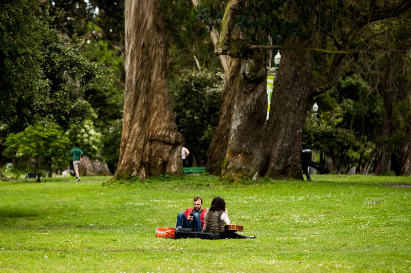 People sit on the grass in Panhandle Park during the coronavirus pandemic on May 02, 2020 in San Francisco, California.