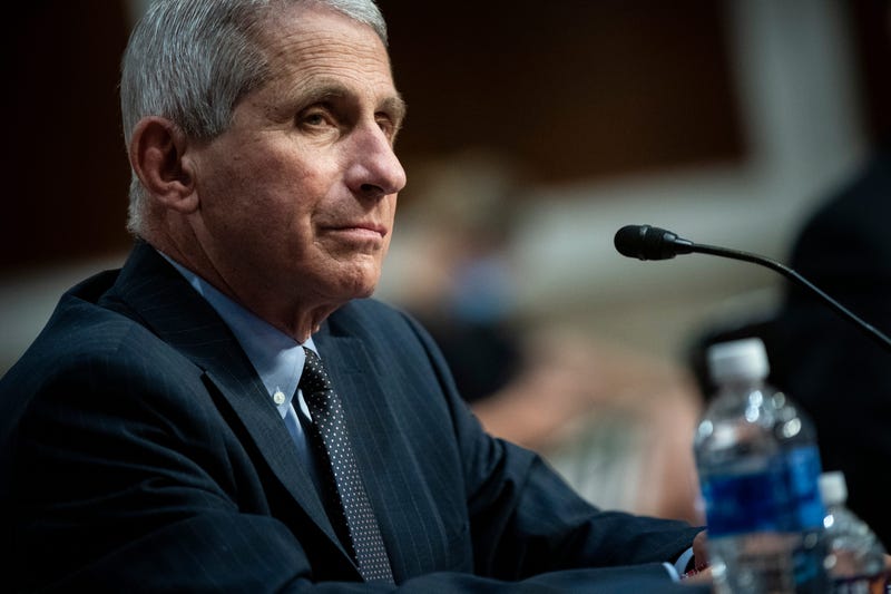 Dr. Anthony Fauci, director of the National Institute of Allergy and Infectious Diseases, listens during a Senate Health, Education, Labor and Pensions Committee hearing on June 30, 2020 in Washington, DC.