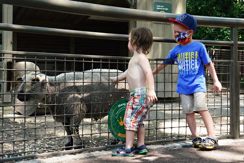 zoo