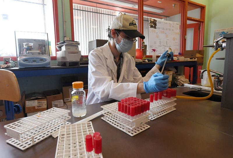 Senior student Ryan Doss heats test tubes to keep them sterile during an in-person Phage Discovery Laboratory course