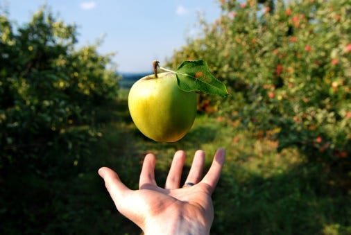 apple