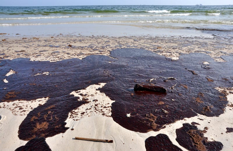 Oil spill money flows to Louisiana for coastal restoration