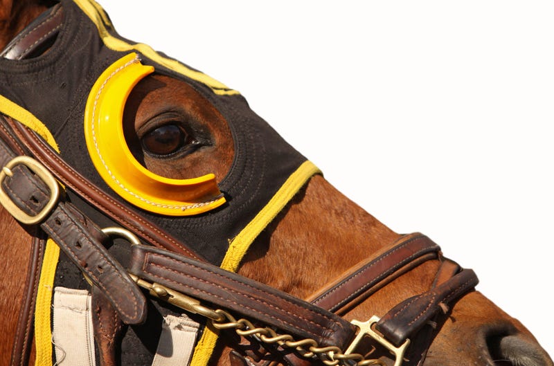 race_horse
