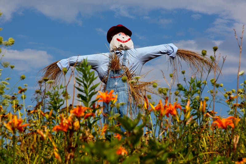 scarecrow