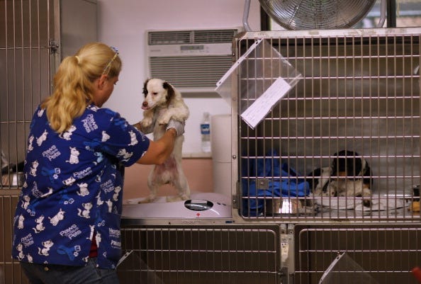 Joe Raedle / Staff Editorial #: 169674646 Collection: Getty Images News Date created: May 30, 2013