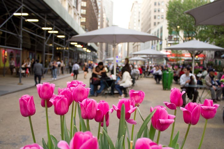 Spring in NYC