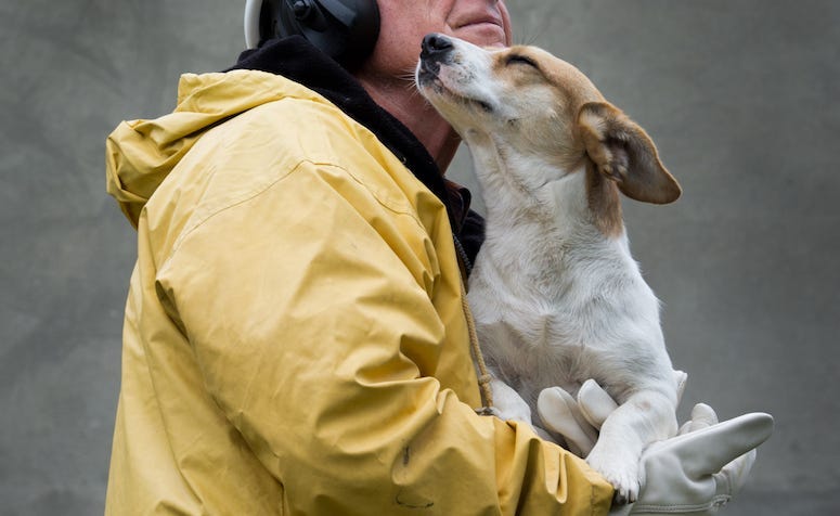 Man, Safety Suit, Firefighter, Holding Dog