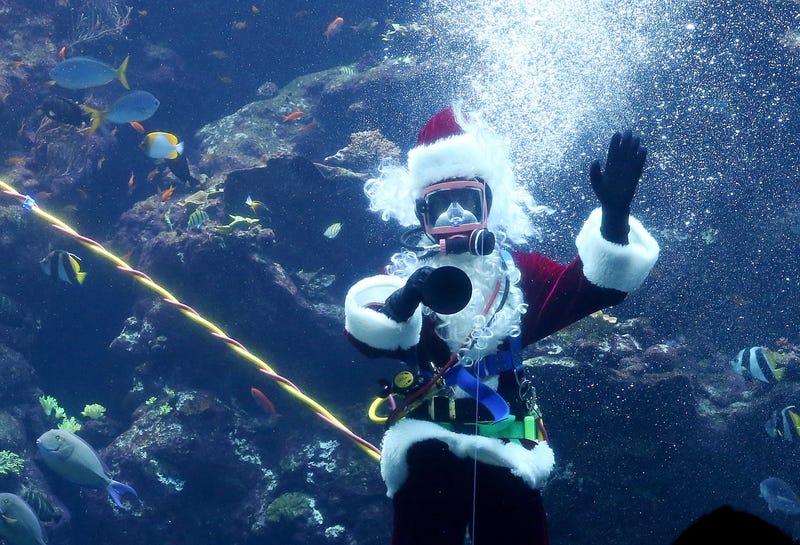 Scuba Claus
