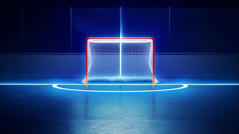 Hockey Goal