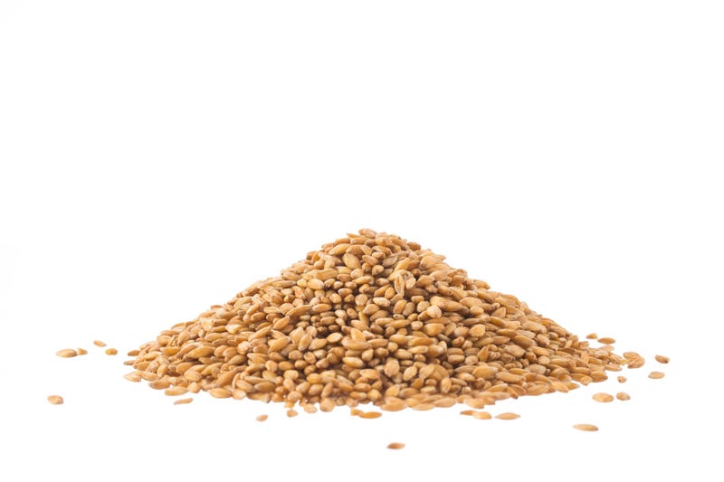 Seeds