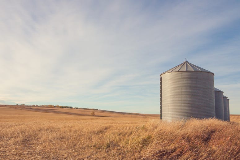 Grain Silo, Farm, Ranch, Field, Autumn