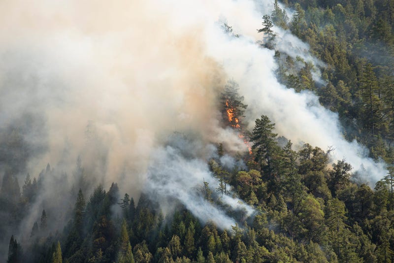 redwoods on fire