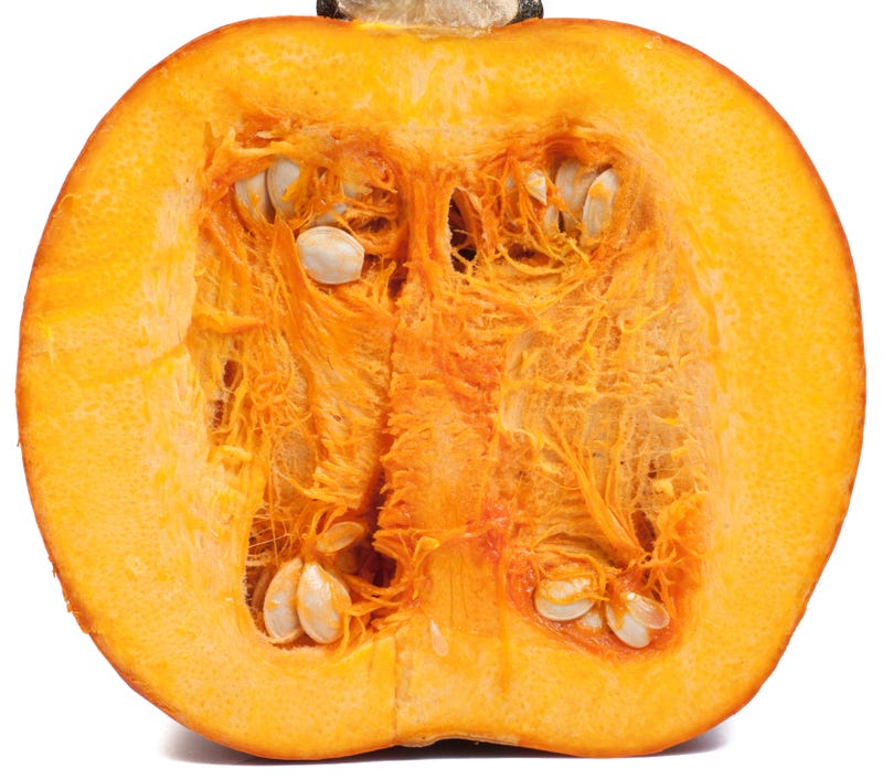 Women Make Hilarious WAP Parody Using Pumpkins. "There's some gourds in this house..."