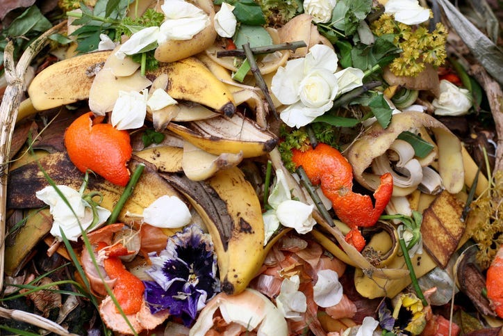 DOC SHOW AUDIO: Next Stop for Jessie...Compost!