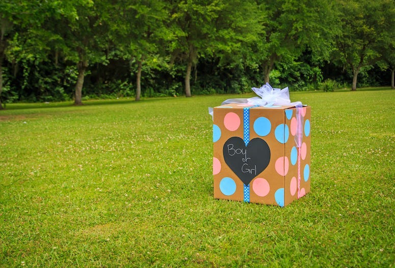 Gender Reveal Party, Box, Backyard, Boy or Girl