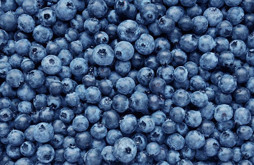 blueberries