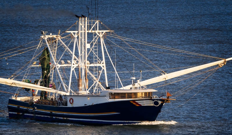 Shrimp aid: Gov't agrees to big purchase to boost industry