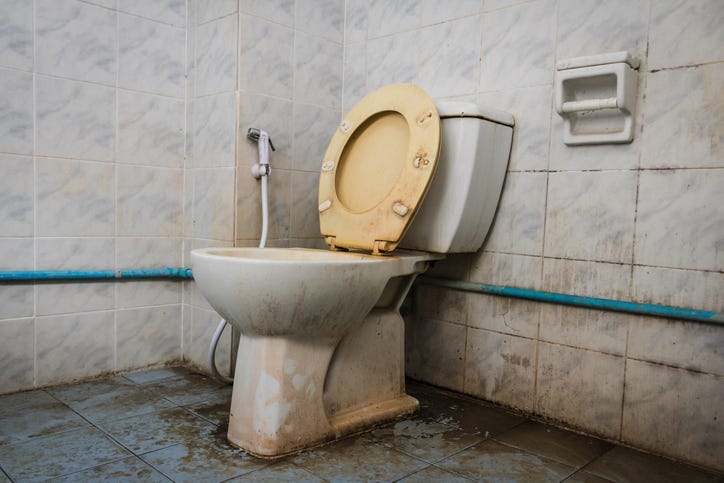 toilet seat