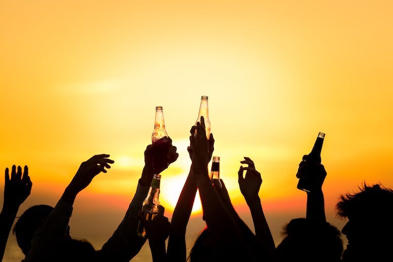 Friends, Beach, Beer, Bottles, Toast, Sunset