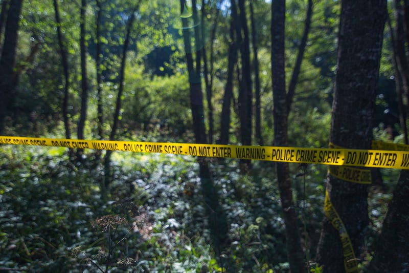 Crime Scene