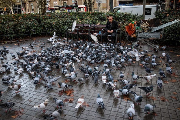A man feeds pigeons in Barcelona.