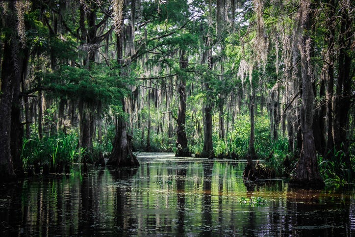 Wetlands