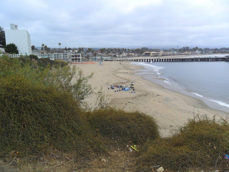 Cowell Beach in Santa Cruz.