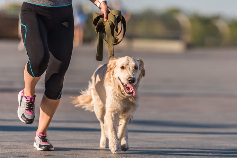 Woman jogging with dog