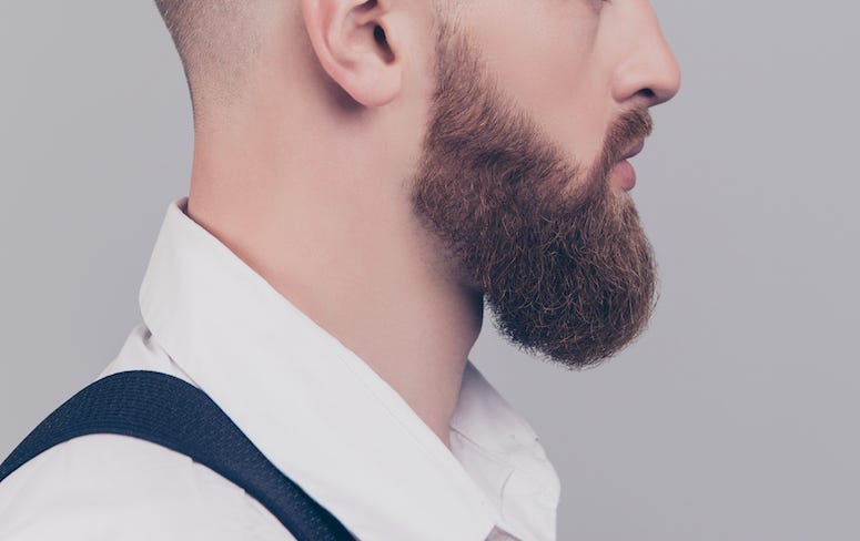 Portrait, Male, Face, Beard
