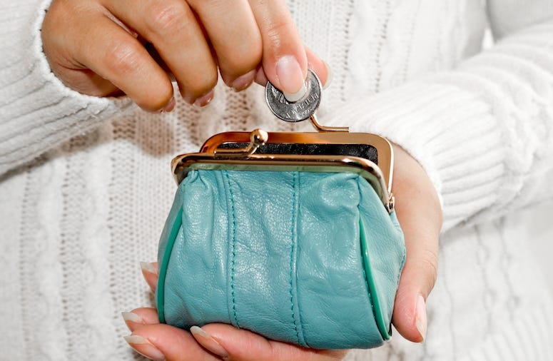 Woman, Coin Purse, Quarter, Leather Purse, Wallet