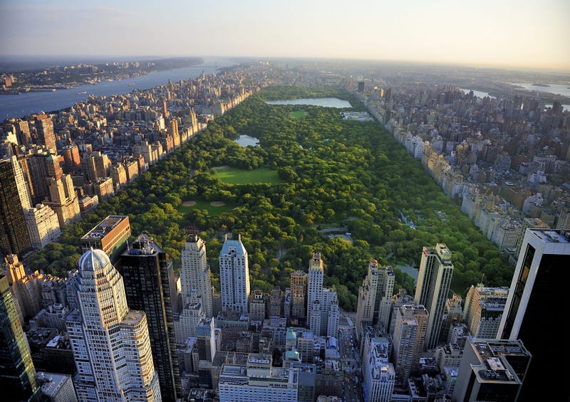 NYC's Central Park