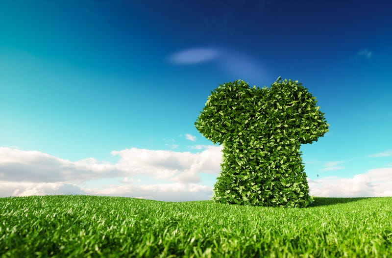 Sustainable Clothing