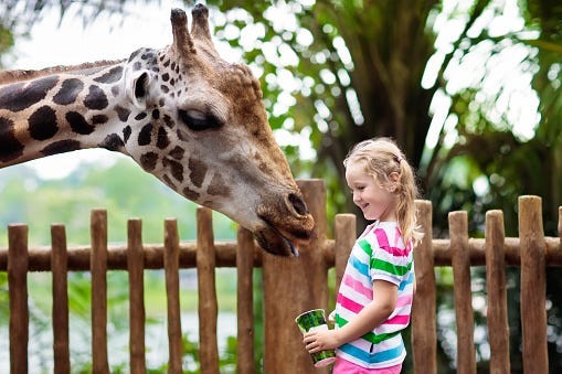 Little Girl & Giraffe