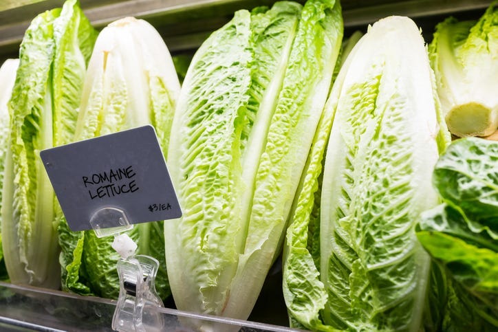 romaine lettuce