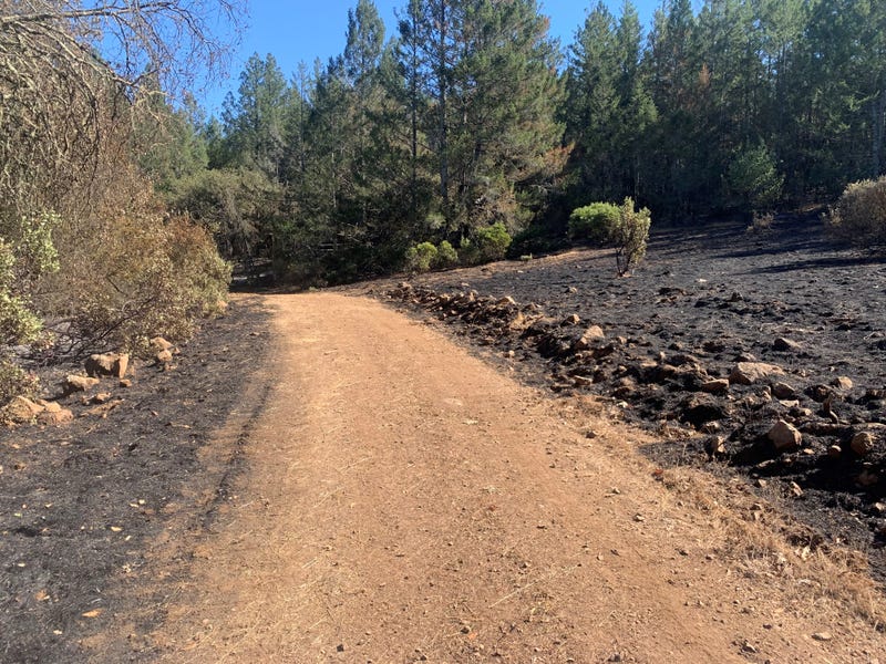 A portion of the fire break built by rancher Vincent Martin