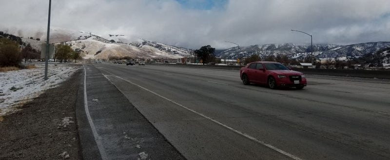 grapevine