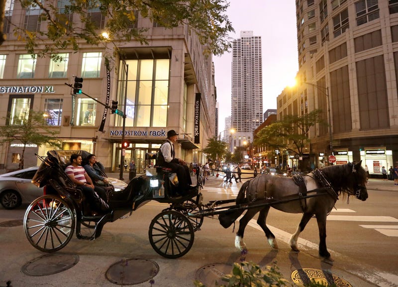 Horse And Carriage