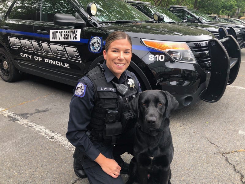 Pinole Police Officer Jennifer Witschi with Milo, a therapy dog that the department has acquired.