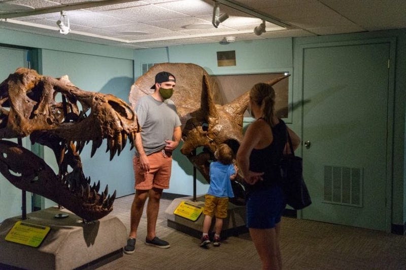 Academy of Natural Sciences of Drexel University reopens after closing its doors due to the pandemic