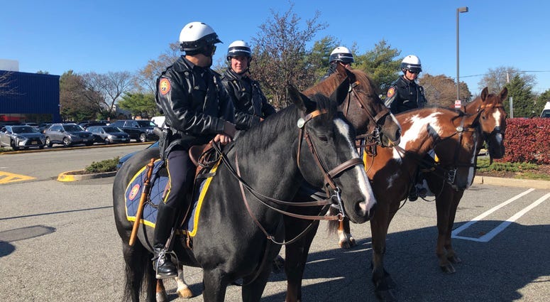 Nassau County mounted police