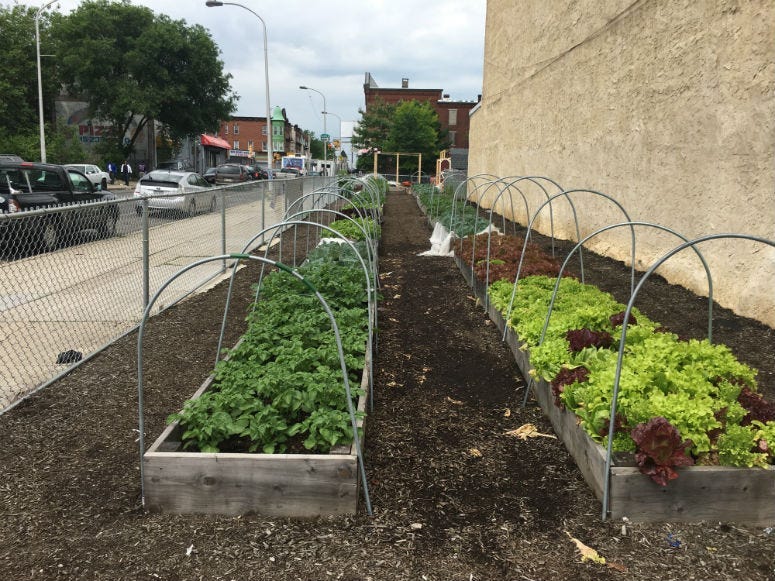 A garden at 22nd Street and Cecil B. Moore Avenue.
