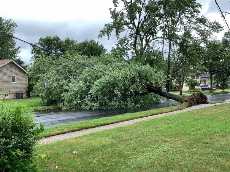 A tree rests upon a power line on Edgemoor Rd at Chelten Parkway in Cherry Hill, NJ