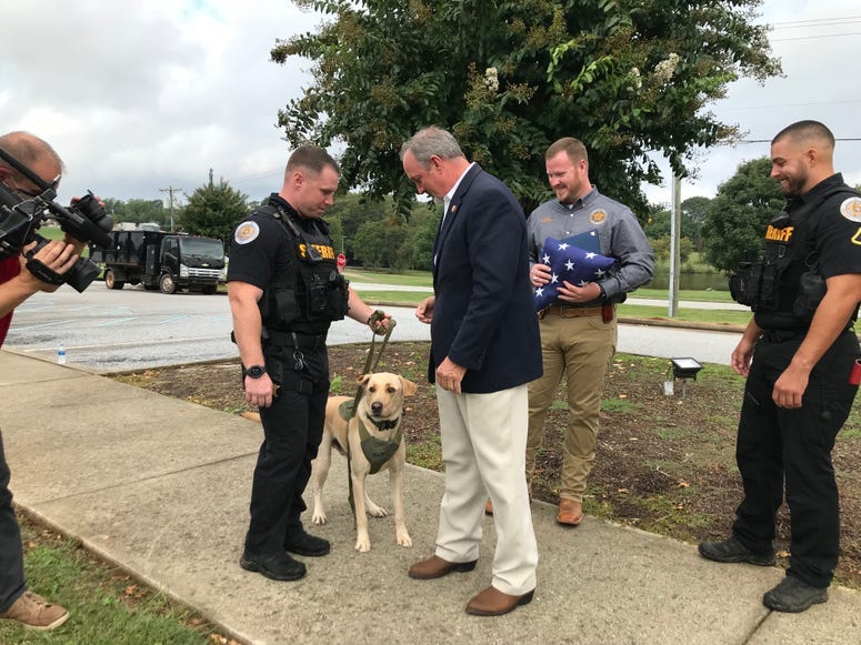 Duncan meets K9 Jack - Emily Gill