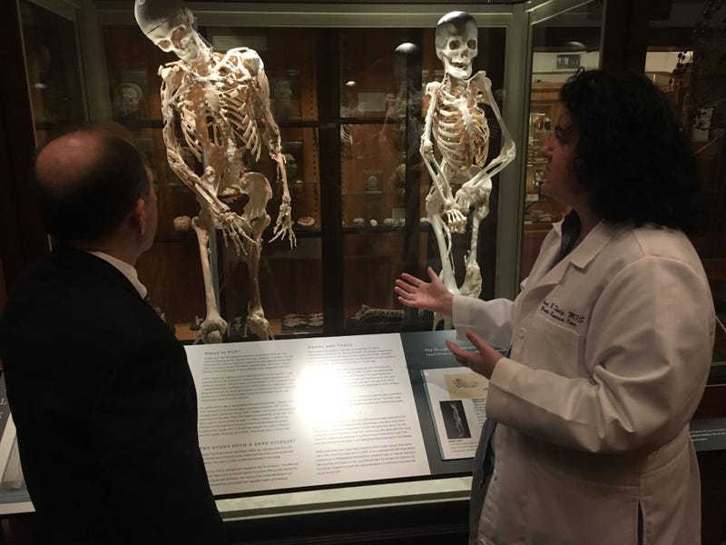 Mütter Museum