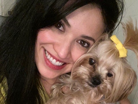Nina, yorkie, dog, dogs, pet