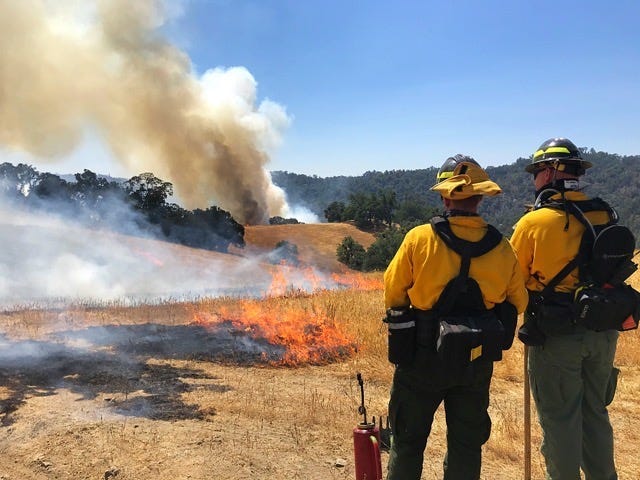 Texas Firefighters