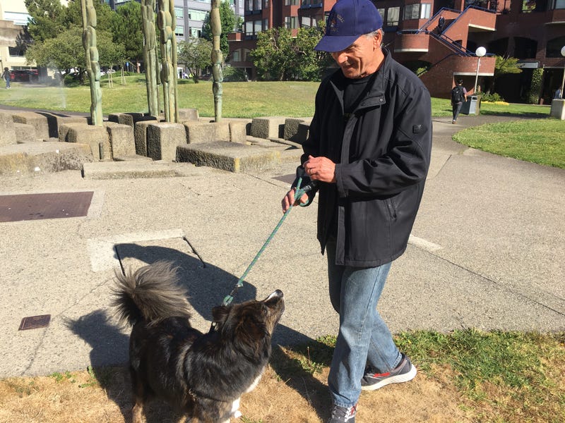 San Francisco Is Adding Pet Waste Stations In Poop Problem Areas