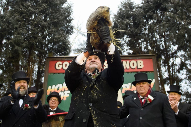 Punxsutawney Phil did not see his shadow predicting an early spring during the 133rd annual Groundhog Day festivities on February 2, 2019 in Punxsutawney, Pennsylvania.