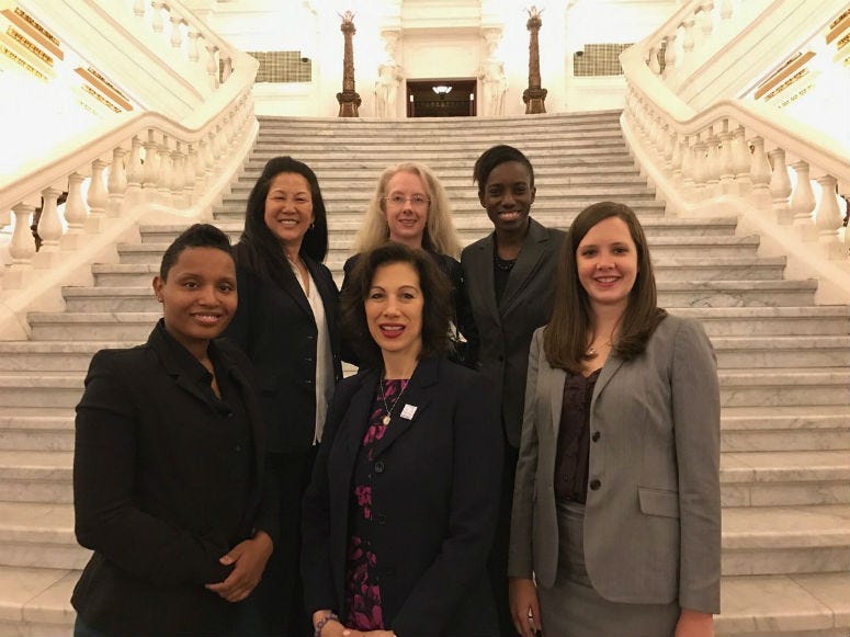 Act 79 was first introduced in October of 2017, when the governor called for domestic violence gun safety protections.